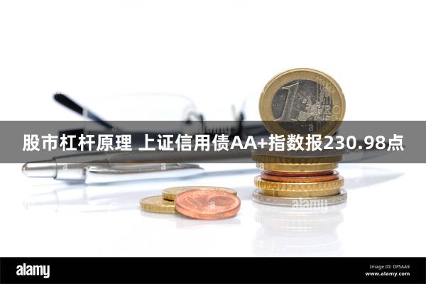 股市杠杆原理 上证信用债AA+指数报230.98点