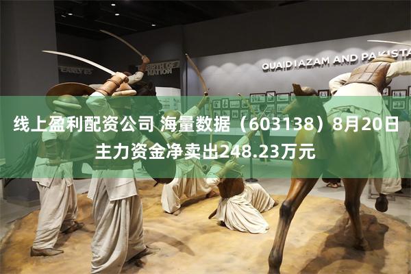 线上盈利配资公司 海量数据（603138）8月20日主力资金净卖出248.23万元