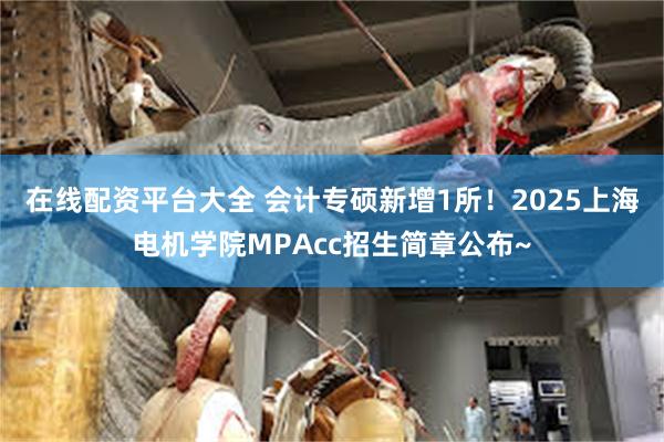 在线配资平台大全 会计专硕新增1所！2025上海电机学院MPAcc招生简章公布~