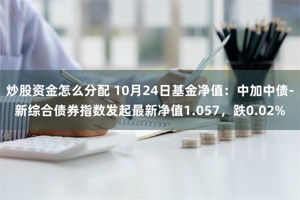 炒股资金怎么分配 10月24日基金净值：中加中债-新综合债券指数发起最新净值1.057，跌0.02%