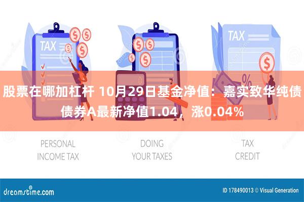 股票在哪加杠杆 10月29日基金净值：嘉实致华纯债债券A最新净值1.04，涨0.04%