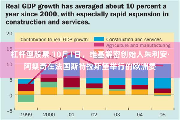 杠杆型股票 10月1日，维基解密创始人朱利安·阿桑奇在法国斯特拉斯堡举行的欧洲委