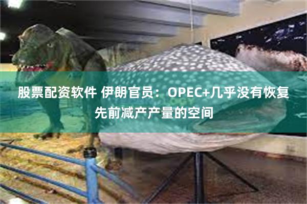 股票配资软件 伊朗官员：OPEC+几乎没有恢复先前减产产量的空间