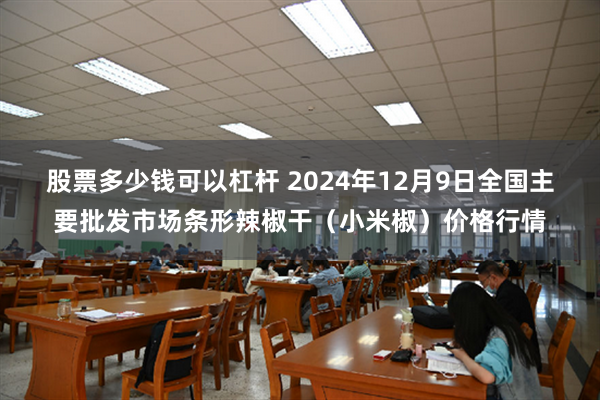 股票多少钱可以杠杆 2024年12月9日全国主要批发市场条形辣椒干（小米椒）价格行情