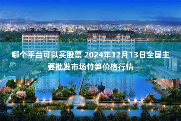 哪个平台可以买股票 2024年12月13日全国主要批发市场竹笋价格行情