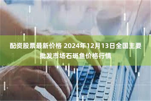 配资股票最新价格 2024年12月13日全国主要批发市场石斑鱼价格行情