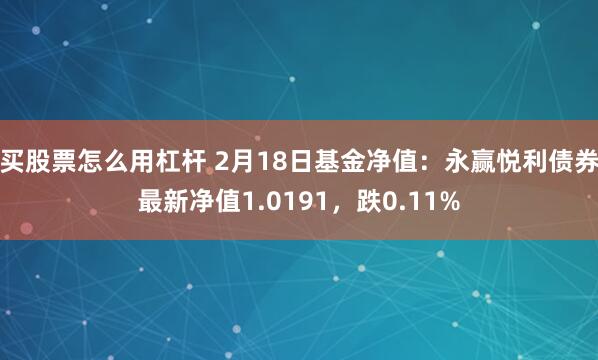 买股票怎么用杠杆 2月18日基金净值：永赢悦利债券最新净值1.0191，跌0.11%