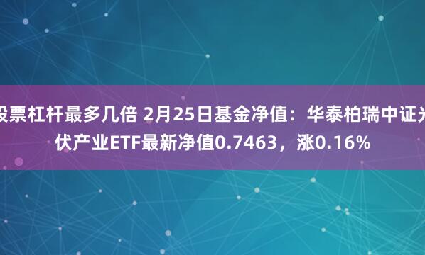 股票杠杆最多几倍 2月25日基金净值：华泰柏瑞中证光伏产业ETF最新净值0.7463，涨0.16%